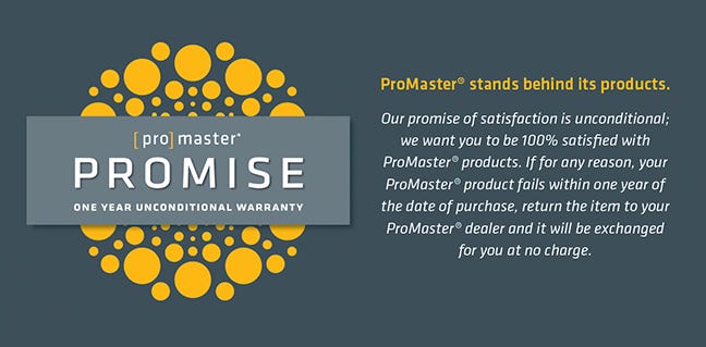 ProMaster Promise