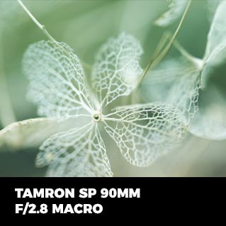 Tamron SP 90mm F2.8 Macro