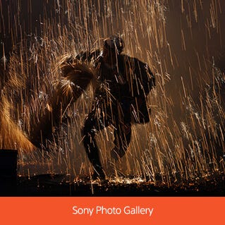 Sony Photo Gallery