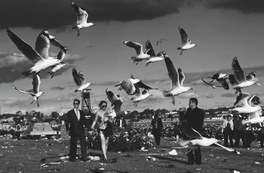 Scott Barbour