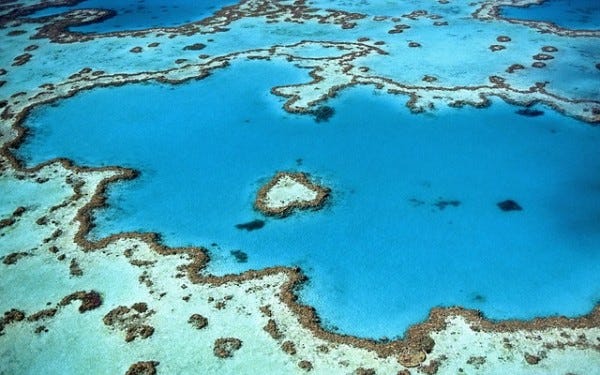 heart reef in whitsunday islands