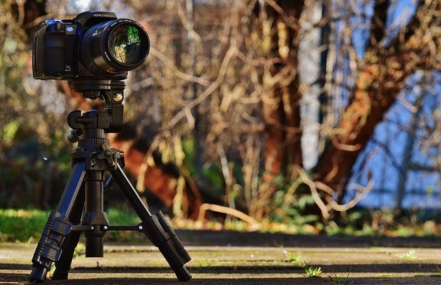 tripod in garden