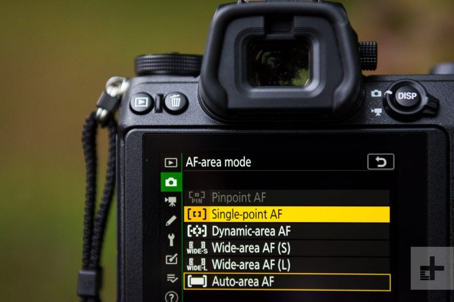 Understanding Your Camera's Focus Points