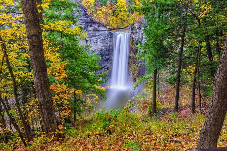 waterfall seen through autumnal trees