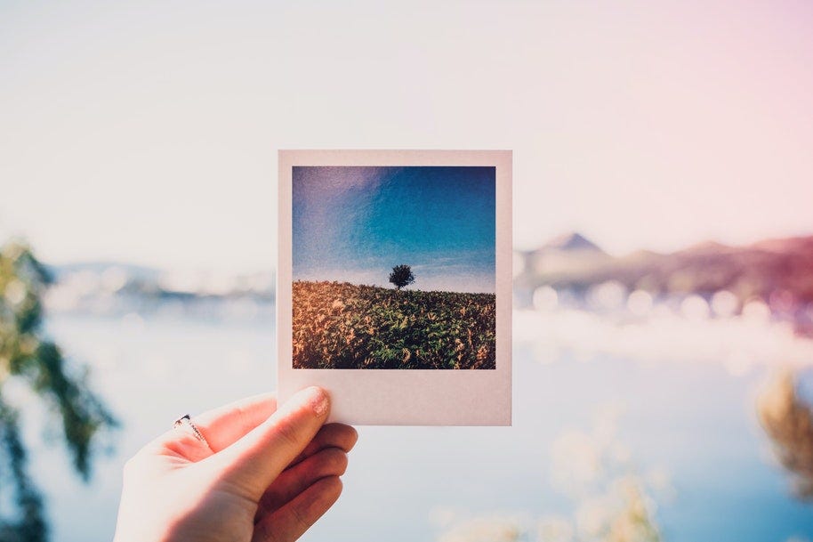 Hand holding a polaroid photo print of a tree in a field against a backdrop of a lake.