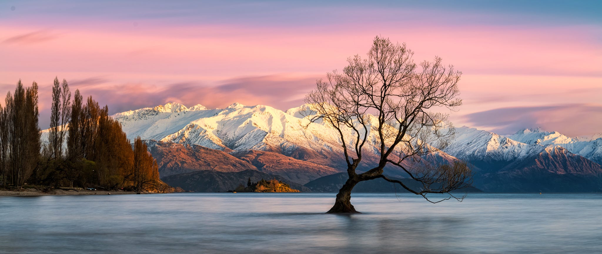 Capturing The World&rsquo;s Beauty: Camera House celebrates World Photography Day on August 19th.